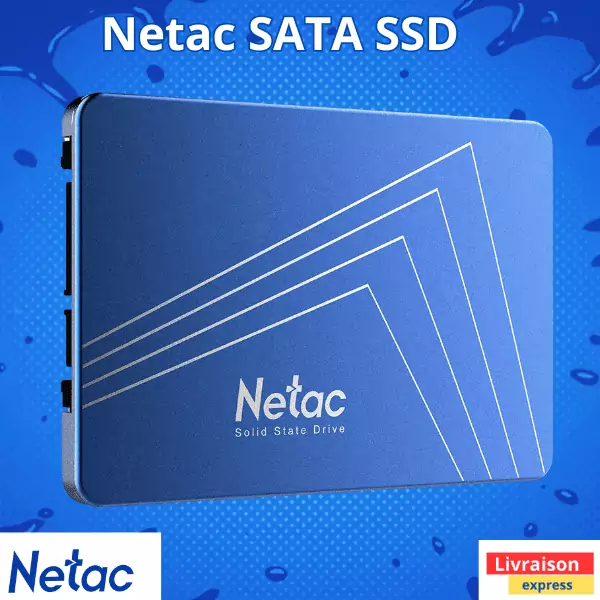 Netac N600S SATA III SSD 256GO – 1Tb