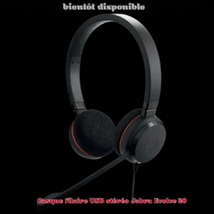 Jabra Evolve 20 Casque filaire USB stéréo supra-auriculaire avec micro antibruit pour PC et réunions en ligne