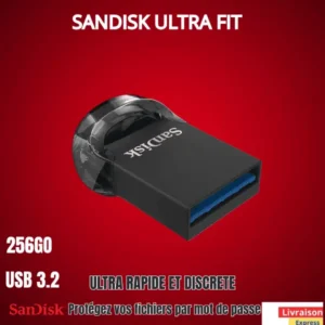 Clé USB: Sandisk ultra fit 256GO