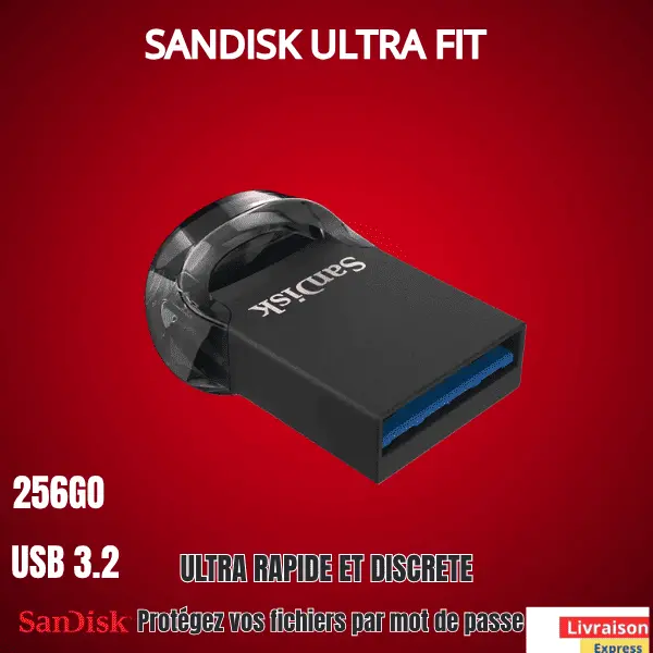 Clé USB: Sandisk ultra fit 256GO