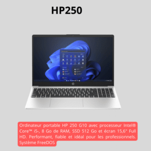 HP ProBook 450 G10 i5-1335U 8Go 512Go SSD 15,6" FHD