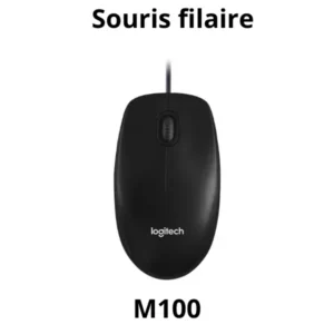 Souris filaire Logitech M100