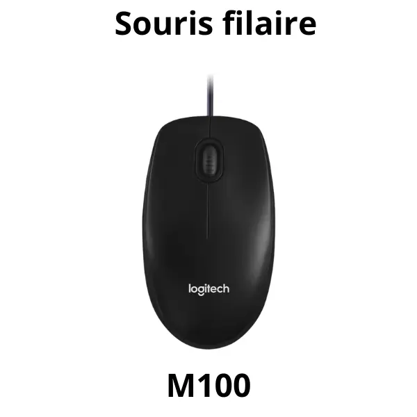 Souris filaire Logitech M100